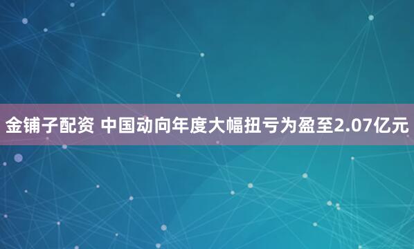 金铺子配资 中国动向年度大幅扭亏为盈至2.07亿元