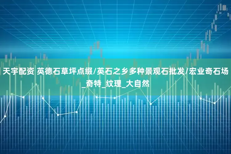 天宇配资 英德石草坪点缀/英石之乡多种景观石批发/宏业奇石场_奇特_纹理_大自然