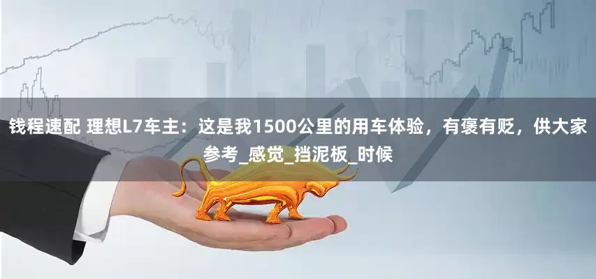 钱程速配 理想L7车主：这是我1500公里的用车体验，有褒有贬，供大家参考_感觉_挡泥板_时候