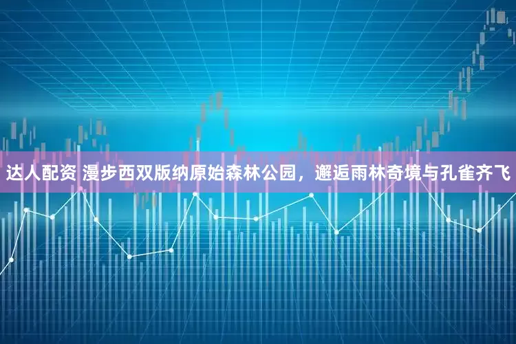 达人配资 漫步西双版纳原始森林公园，邂逅雨林奇境与孔雀齐飞