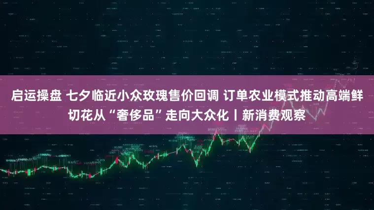 启运操盘 七夕临近小众玫瑰售价回调 订单农业模式推动高端鲜切花从“奢侈品”走向大众化丨新消费观察